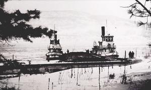 thumbnail of image