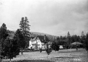 thumbnail of image