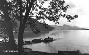 thumbnail of image