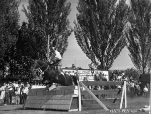thumbnail of image