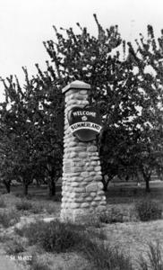 thumbnail of image