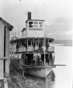 thumbnail of image