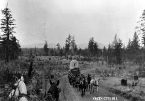 thumbnail of image