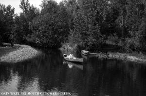 thumbnail of image