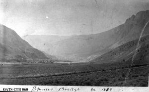 thumbnail of image