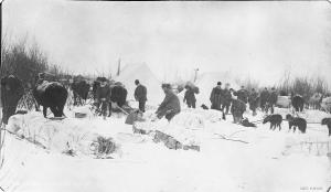 thumbnail of image