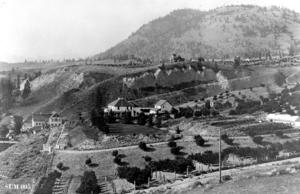 thumbnail of image