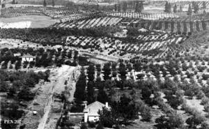 thumbnail of image
