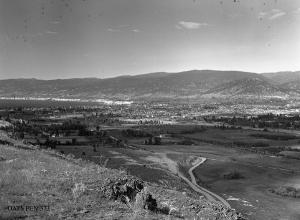 thumbnail of image