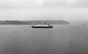 thumbnail of image