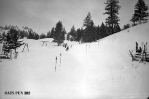 thumbnail of image