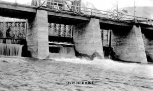 thumbnail of image