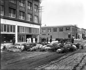thumbnail of image