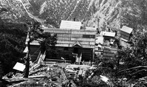 thumbnail of image