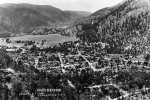 thumbnail of image