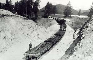 thumbnail of image