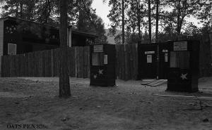 thumbnail of image