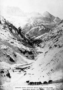 thumbnail of image