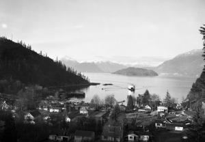 thumbnail of image