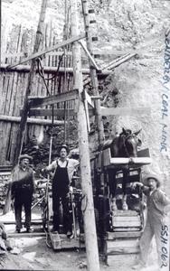 thumbnail of image