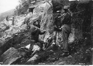 thumbnail of image