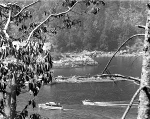 thumbnail of image