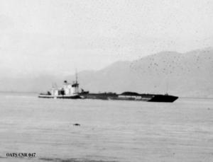 thumbnail of image
