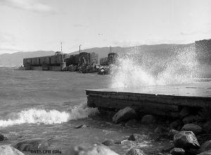 thumbnail of image