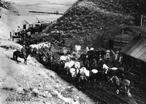 thumbnail of image