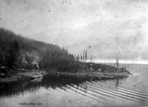 thumbnail of image