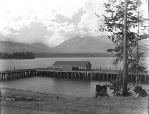thumbnail of image