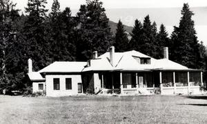thumbnail of image