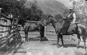 thumbnail of image