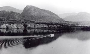 thumbnail of image