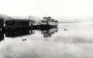 thumbnail of image