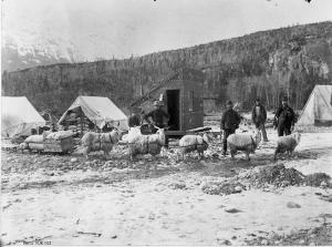 thumbnail of image