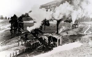 thumbnail of image