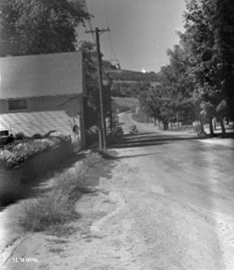 thumbnail of image