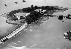 thumbnail of image