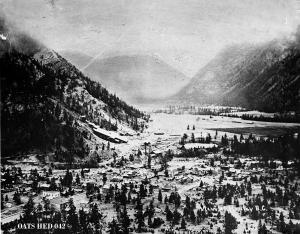 thumbnail of image