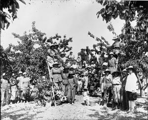 thumbnail of image