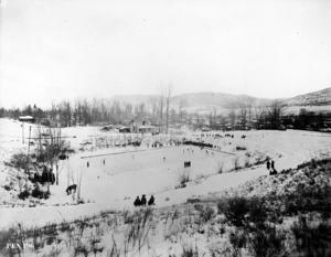thumbnail of image