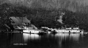 thumbnail of image