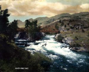 thumbnail of image