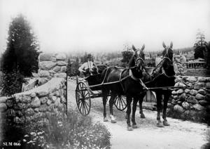 thumbnail of image