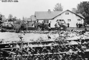 thumbnail of image