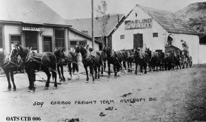 thumbnail of image