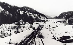 thumbnail of image