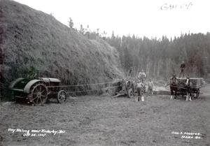 thumbnail of image