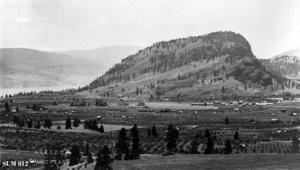 thumbnail of image